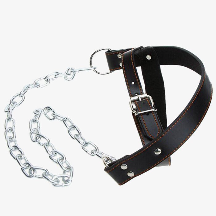 Head Harness Head Harness