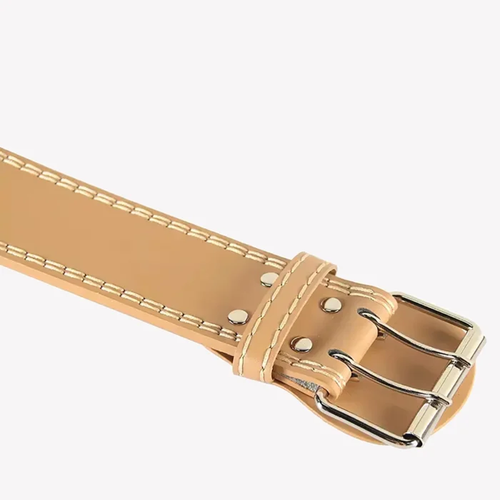 Champion Lifting Belts Buckle